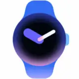 Google Pixel Watch