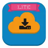 1DM Lite: Browser & Downloader