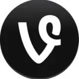 Vine