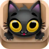 Kitty Jump