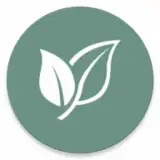 Pollen