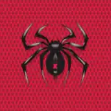 Spider Solitaire