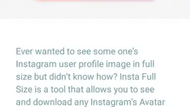 Screenshot von InstaFullSize 4