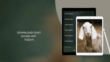 Screenshot von Goat Sounds 3