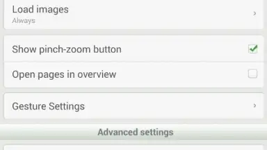 Screenshot von Dolphin Browser Mini 1
