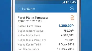 Screenshot von Halkbank 4