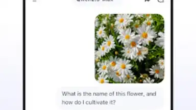 Screenshot von Qwen Chat 10