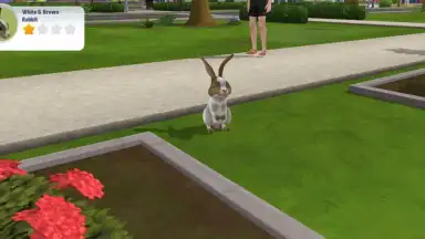 Screenshot von Virtual Sim Story: Dream Life 5