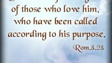 Screenshot von Bible Quotes Live Wallpaper 6