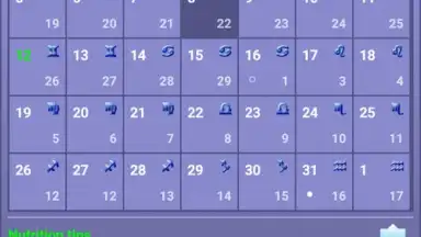 Screenshot von Dara-Lite 1