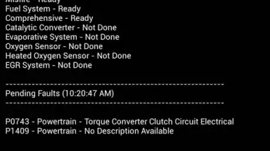 Screenshot von Car Gauge Lite OBD2 8