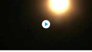 Screenshot von Reddit 15