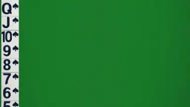 Screenshot von Spider Solitaire Classic 7
