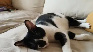 Screenshot von Open Camera 9