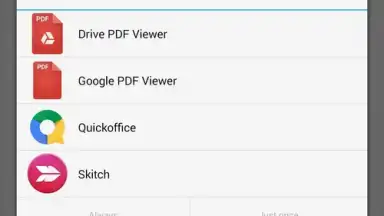 Screenshot von Google PDF Viewer 1
