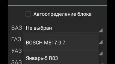 Screenshot von OpenDiag 7