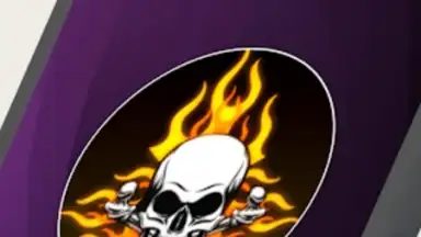 Screenshot von FFMax Panel HaK Fire Max 4