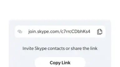 Screenshot von Skype 8