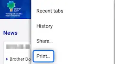 Screenshot von Brother Print Service Plugin 4