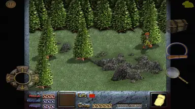 Screenshot von Dink Smallwood HD 9
