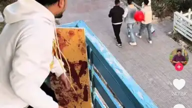 Screenshot von TikTok Pro 7