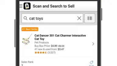 Screenshot von Amazon Seller 2