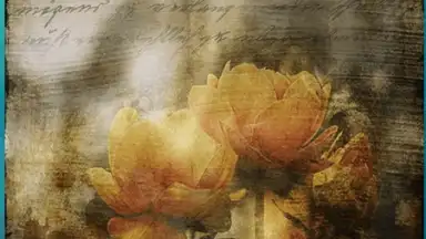 Screenshot von Secret Notes2 8