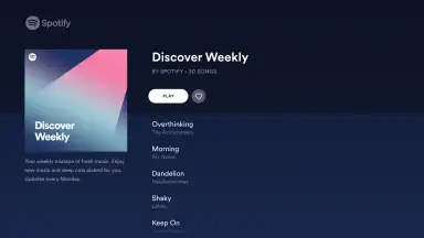 Screenshot von Spotify for Android TV 4