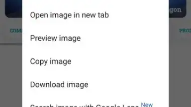 Screenshot von Google Chrome 10