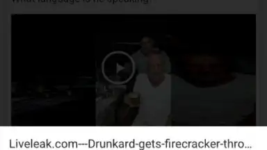 Screenshot von InShot Video Downloader 9