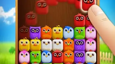Screenshot von Birzzle 4