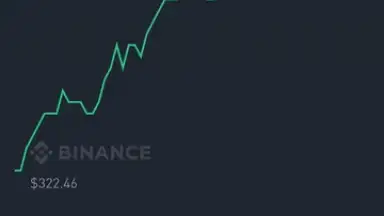 Screenshot von Binance 12