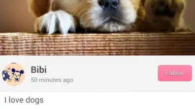 Screenshot von We Heart It 3