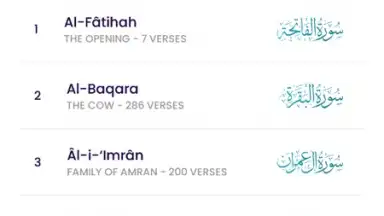 Screenshot von The Holy Quran - English 11