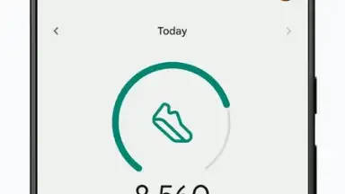 Screenshot von Fitbit 1