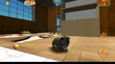Screenshot von Cat Simulator 4
