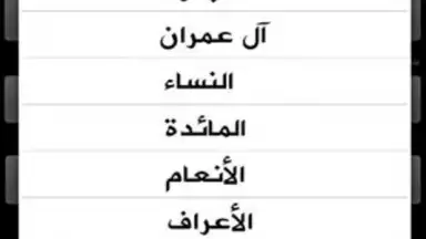 Screenshot von Holy Quran 5