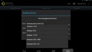 Screenshot von OpenDiag 13