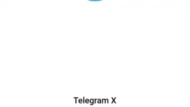 Screenshot von Telegram X 7