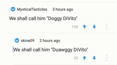 Screenshot von Reddit 6