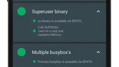 Screenshot von Root Validator 1