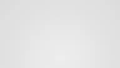 Screenshot von PaperDraw 9