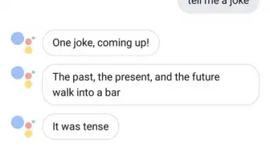 Screenshot von Google Assistant Go 1