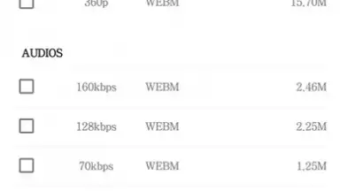 Screenshot von VidPaw App 4