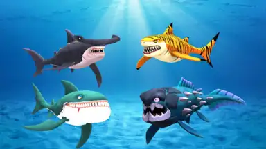 Screenshot von My Shark Show 13
