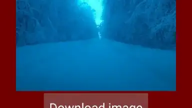 Screenshot von Скачать картинку видео из инстаграм 5