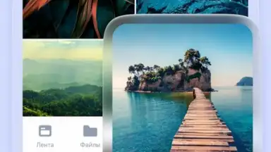 Screenshot von Yandex Disk 3