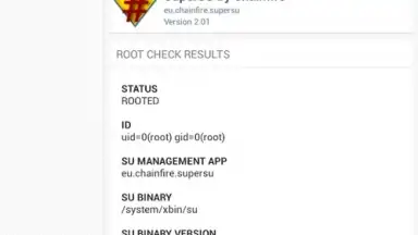 Screenshot von Root Check 2
