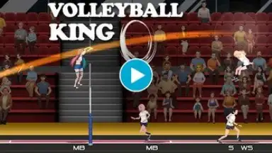 Screenshot von VolleyBall King 1
