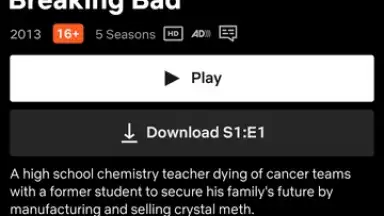 Screenshot von Netflix (Android TV) 15